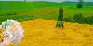 Wspólna Polityka Rolna po 2027. Co czeka polskich rolników według ostatnich debat w Brukseli?