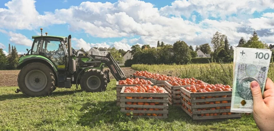 Premie na rozwój małych gospodarstw 2025