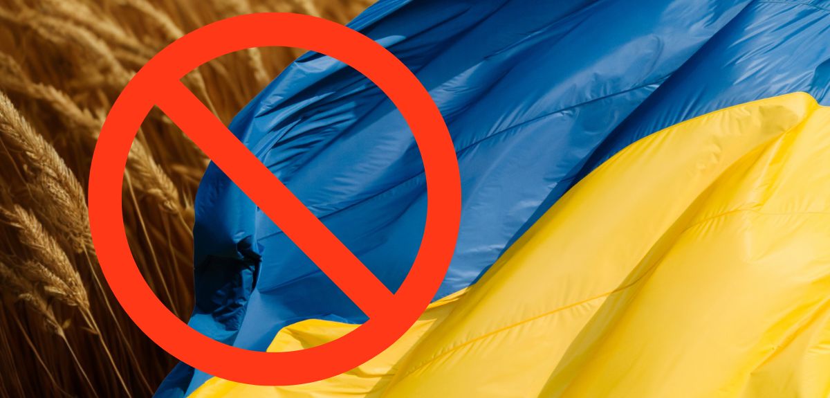 Kara za embargo na ukraińskie zboże? Bruksela grozi Polsce