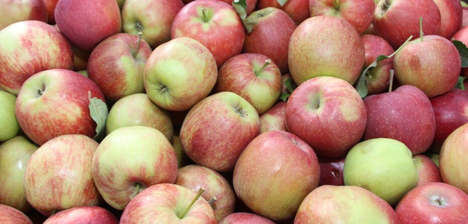 Popyt na polskie jabłka w tym roku jest wyjątkowo duży