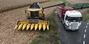 Rolnicy mówią wprost: kukurydza mokra po 420 zł/t to dramat. Koszty WIR pokazują skalę problemu