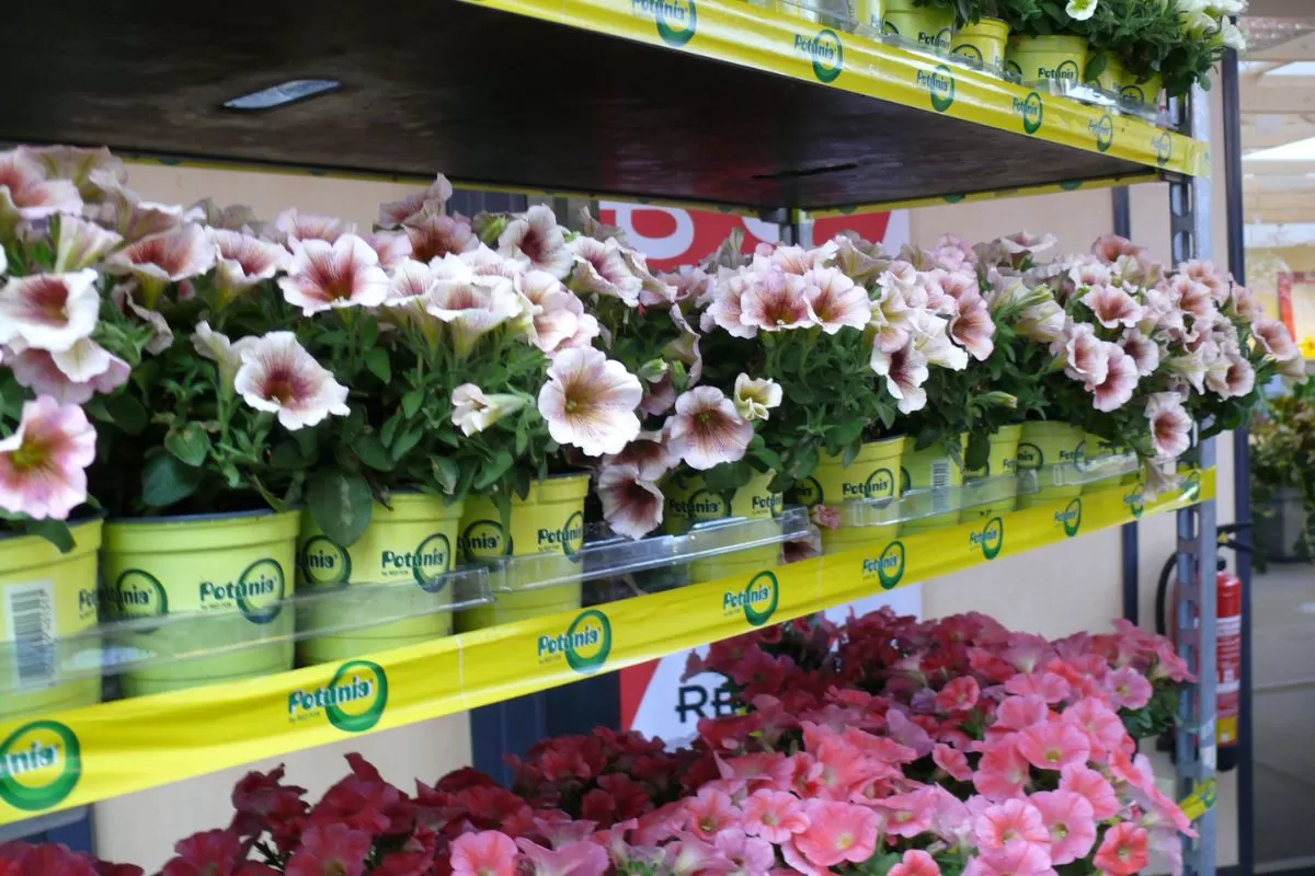 VAT od zakupu od rolnika ryczałtowego