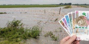 Pomoc dla rolników po powodzi dostępna tylko przez kilka dni