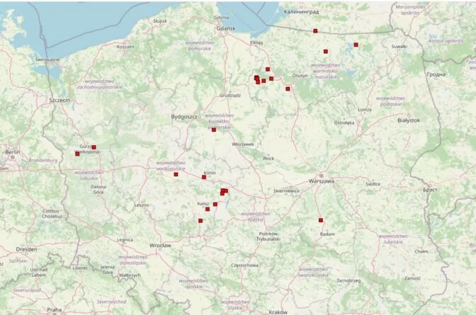 Ogniska ptasiej grypy 2025