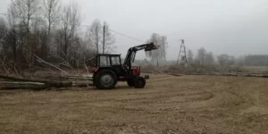 Wycięcie drzewa na działce rolnej. Nawet 34 tys. zł kary za jedno drzewo. Jak ich uniknąć?