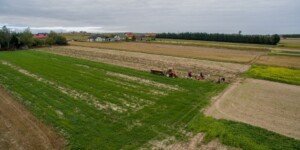 Czy muszę zapłacić VAT za samozbiory? Mamy odpowiedź MF