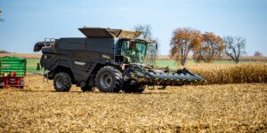 Ceny kukurydzy suchej 2025. Gdzie płacą najwięcej?