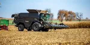 Ceny kukurydzy suchej 2025. Gdzie płacą najwięcej?