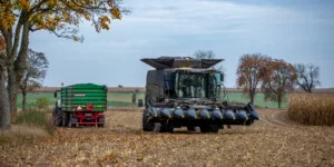 Ile kosztuje kukurydza mokra 2025? W tych regionach stawki wzrosły