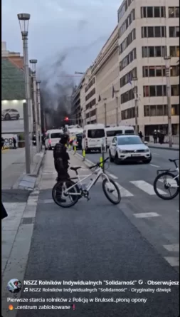 protest europejskich rolników