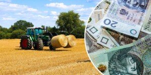 KOWR sprzedaje 85-ha gospodarstwo po PGR. Kusi niska cena, ale są też haczyki