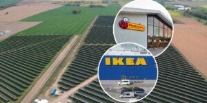 23 tys. ha ziemi z&nbsp;KOWR w&nbsp;rękach gigantów. W&nbsp;wykazie Biedronka i&nbsp;Ikea [LISTA]