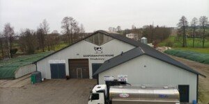 Cena mleka na początku grudnia 2025: ile płacą mleczarnie za małe i duże dostawy?