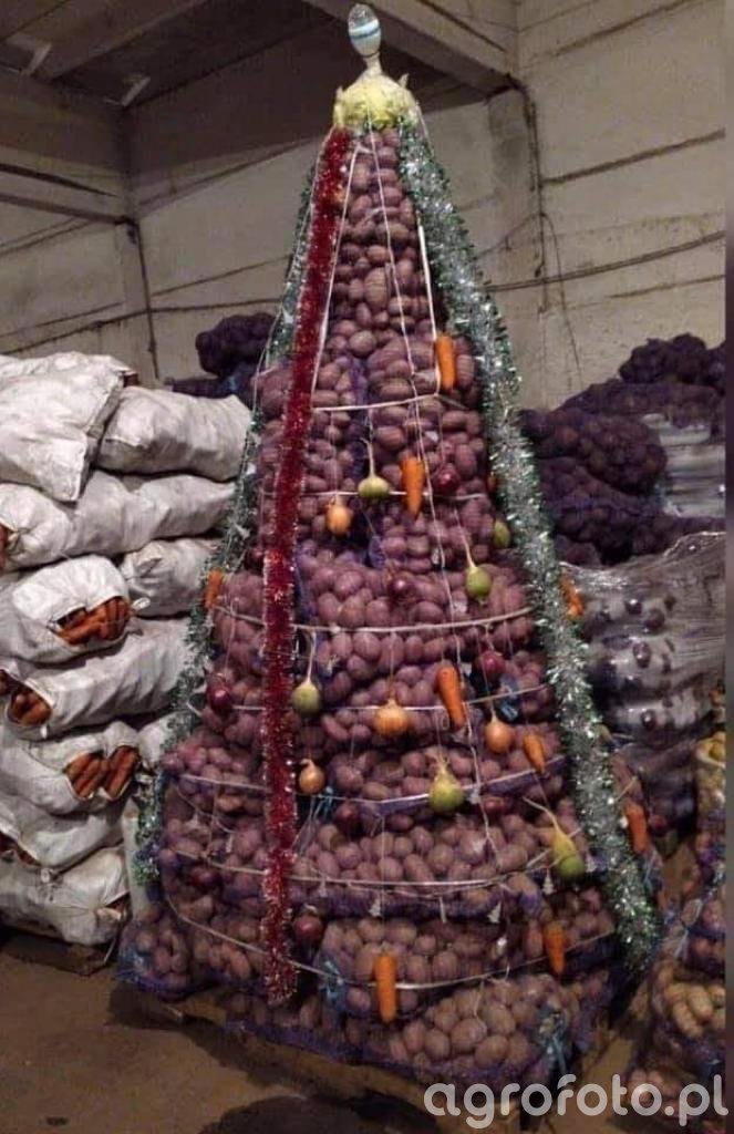 Ceny ziemniaków w hurcie