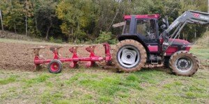 Koniunktura w rolnictwie 2025 spada. Rolnicy coraz bardziej pesymistyczni