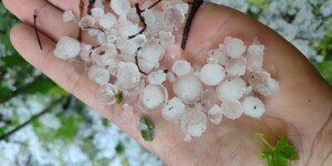 Wsparcie klęskowe 2025 ruszyło. Pierwsze wypłaty już trafiają do rolników