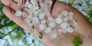 Wsparcie klęskowe 2025 ruszyło. Pierwsze wypłaty już trafiają do rolników