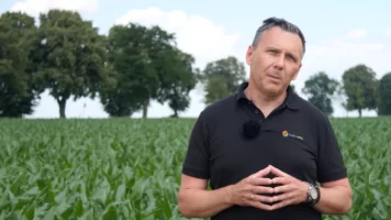 Herbicyd na chwasty w&nbsp;kukurydzy.