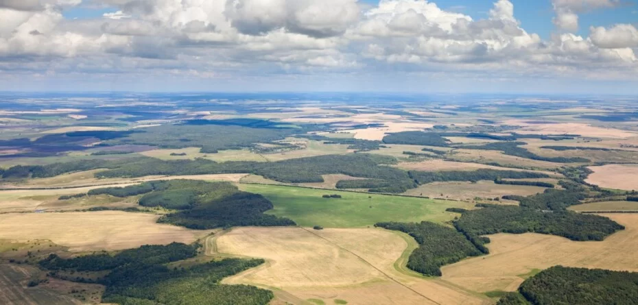 ARiMR mapy działek