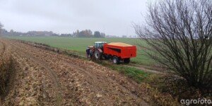 Ceny kukurydzy mokrej 2025 rosną. Zobacz różnice między regionami