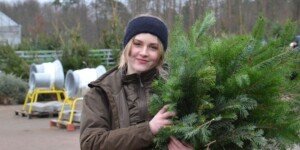 Choinka na święta – oczywiście żywa i&nbsp;legalnie kupiona!
