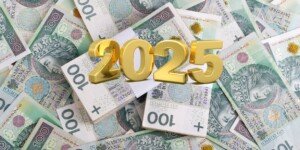 ARiMR podsumowała 2025 rok. Nabory, dopłaty i miliardy dla rolników