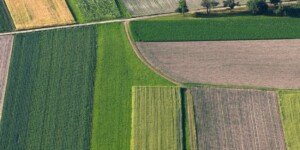 Kolejna pula do wzięcia. Rolnicy, sprawdźcie, jaka ziemia z KOWR trafi na rynek