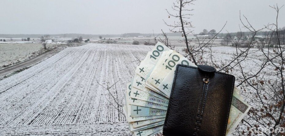 Ile rolnik może dorobić w KRUS bez utraty świadczeń? Są nowe limity przychodu