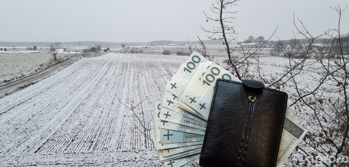 Ile rolnik może dorobić w KRUS bez utraty świadczeń? Są nowe limity przychodu