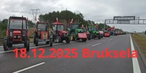 Europejscy rolnicy jadą do Brukseli. „Tak dalej być nie może!”