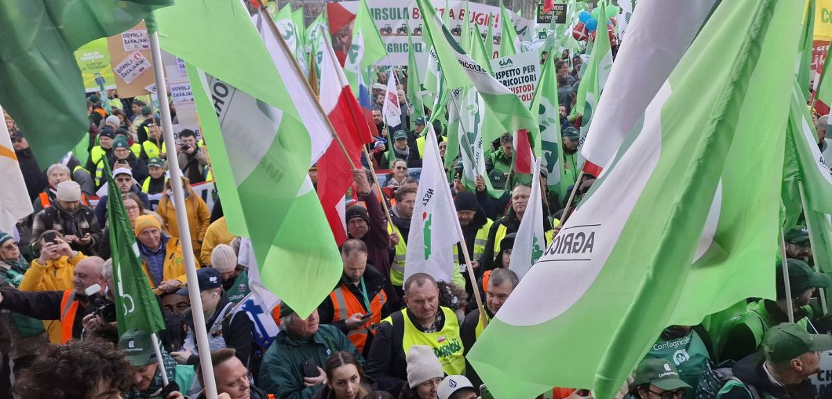 Rusza protest europejskich rolników przeciw polityce UE. Wawrzyniak relacjonuje