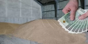 Ceny pszenżyta pod koniec roku. W jednych regionach 580 zł w innych 700 zł/t