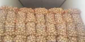 Ceny ziemniaków w hurcie w grudniu 2025 – nawet do 3,5 zł/kg