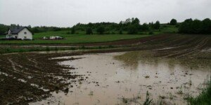 Wsparcie klęskowe 2025 z ARiMR. Wypłaty już trwają