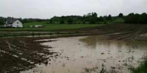 Wsparcie klęskowe 2025 z ARiMR. Wypłaty już trwają