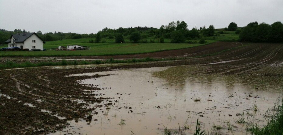 Wsparcie klęskowe 2025 z ARiMR. Wypłaty już trwają