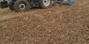 Mniej nawozów i ryzyka – co naprawdę daje rolnictwo regeneracyjne