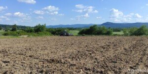 Ogłoszenia przetargów KOWR w nowych miejscach. Co się zmienia?