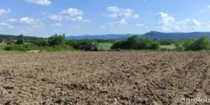 Ogłoszenia przetargów KOWR w nowych miejscach. Co się zmienia?