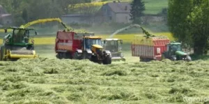 Wydajność pracy w polskim rolnictwie wzrosła o 33%. Polska w ścisłej czołówce UE