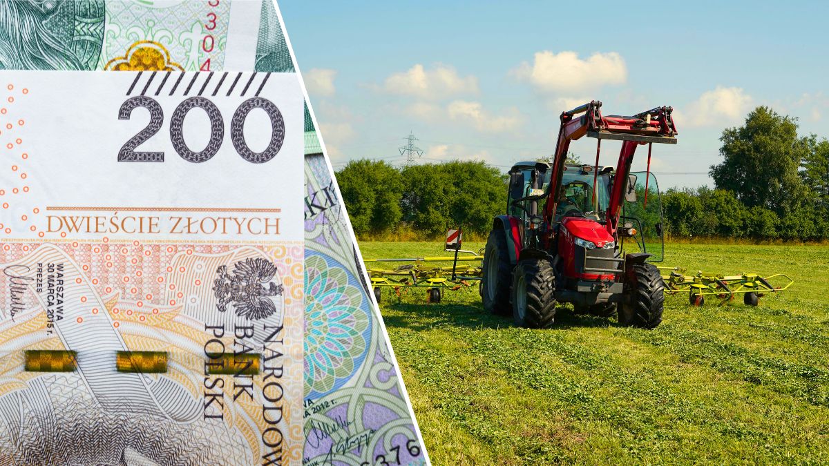 Kryzys uderza w gospodarstwa rodzinne. Część rolników dostanie do 300 tys. zł dotacji