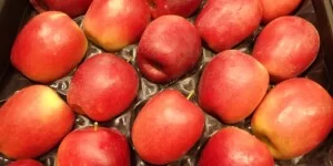 Najwięksi odbiorcy polskich jabłek. Kto kupił je w&nbsp;grudniu 2025