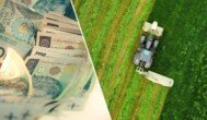 Nowe dopłaty dla 222 tys. rolników. Do wzięcia ponad 300 mln zł