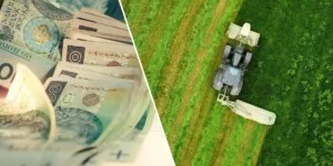 Nowe dopłaty bezpośrednie w 2026 – 306 mln zł na torfowiska