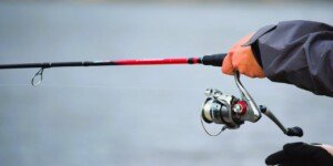 Jaka wędka na początek? Poradnik dla początkujących wędkarzy