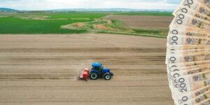 Wypłata dopłat 2025 nabiera tempa. Rolnicy potwierdzają przelewy