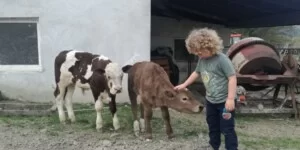 ile dzieci rodzi się na wsi