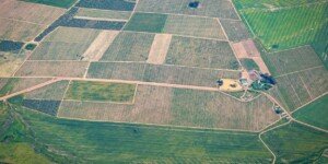 Geoportal ARiMR ujawnił dane rolników zbyt szeroko