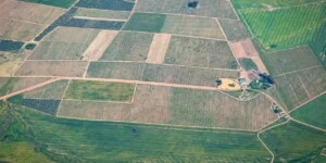 Geoportal ARiMR ujawnił dane rolników zbyt szeroko