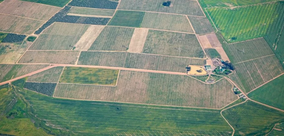 Geoportal ARiMR ujawnił dane rolników zbyt szeroko